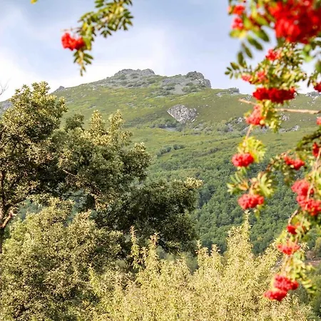 La De Laciana Alpehytte *