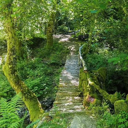 La De Laciana